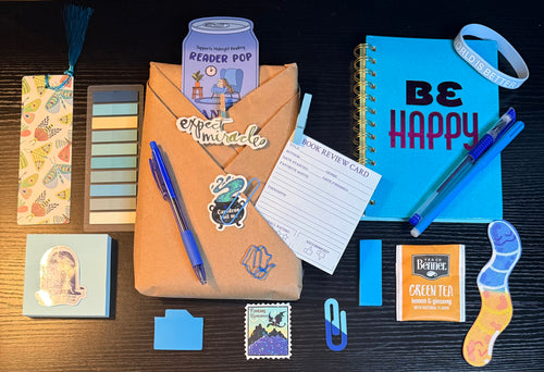 Surprise Book Bundle + 10